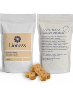 lions mane dog treats